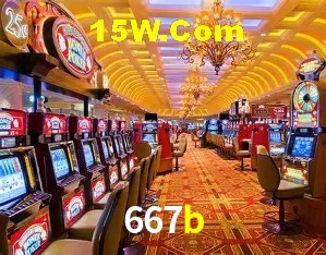 Flash Promotion 667b